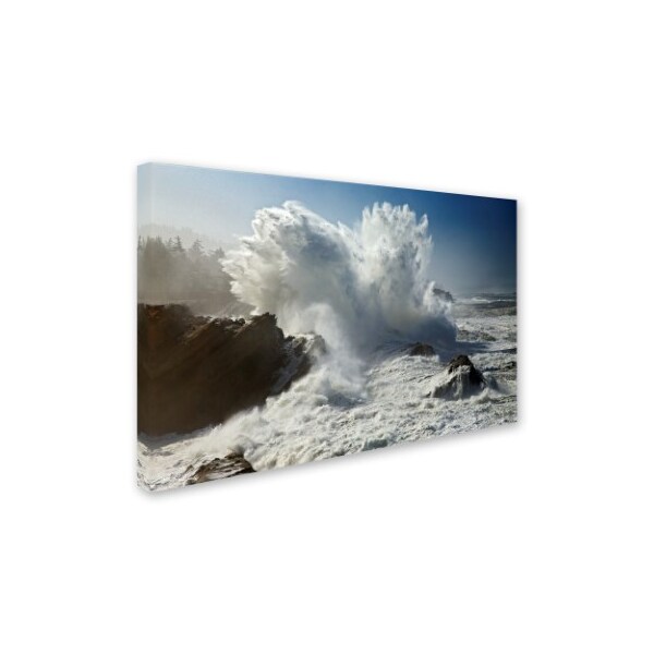 Mike Jones Photo 'Oregon Shore Acres SP Wave' Canvas Art,22x32
